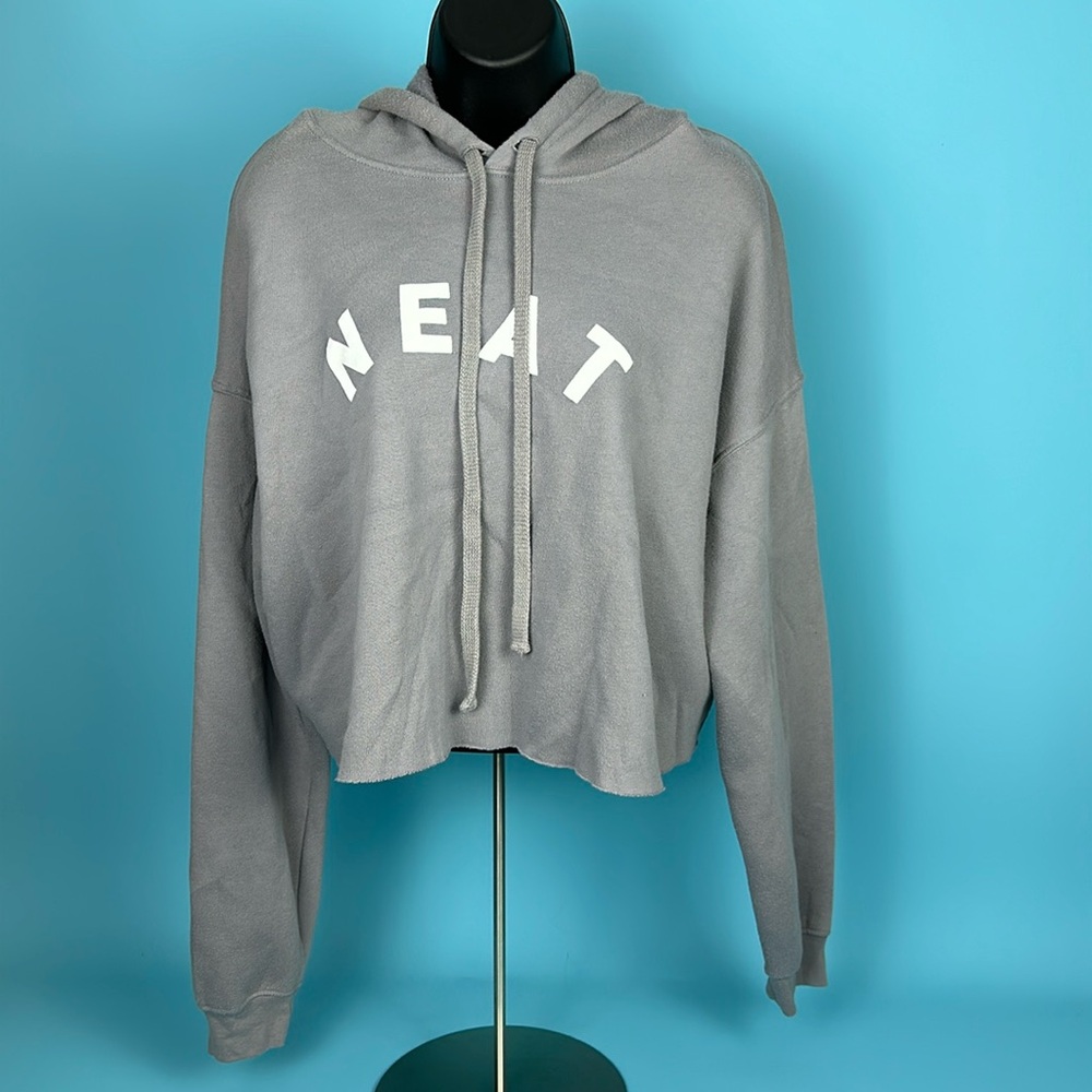 Neat Dude “NEAT” Gray Cropped Hoodie